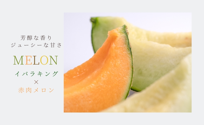 SP_melon.jpg