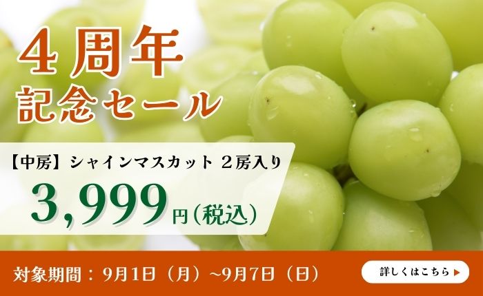 saleshine3999.jpg