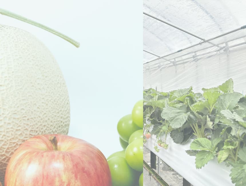 TOBIFRUのこだわりと想い