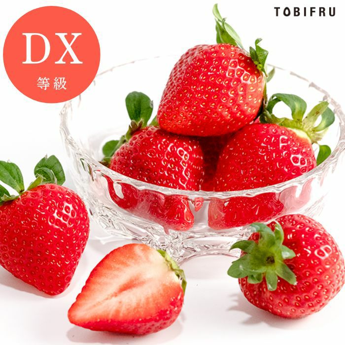 福岡県産 あまおう DX等級 2パック入り