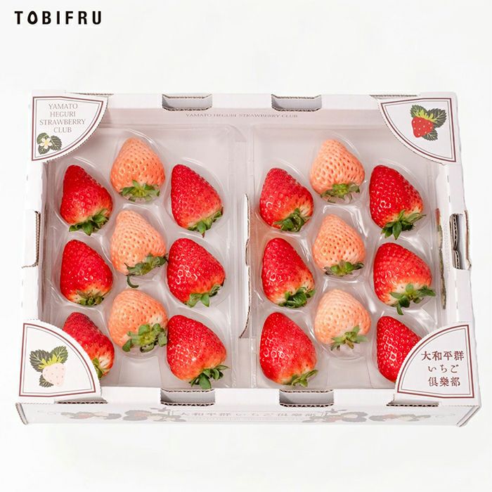 【ご家庭用】訳ありいちご 詰め合わせ
2パック入り