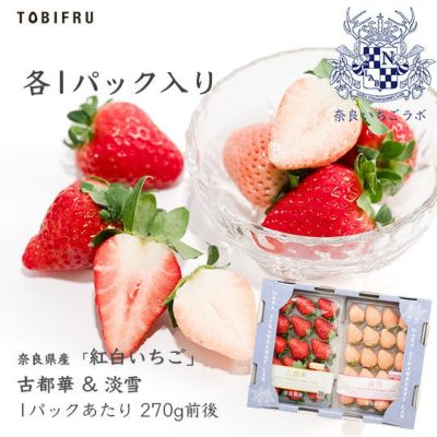 いちご様まとめ売り　専用 いちご(とちおとめ) | 商品一覧 | JA茨城旭村特産物直売所 サングリーン旭